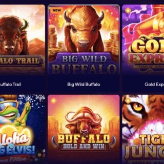 Best Dazard Casino App